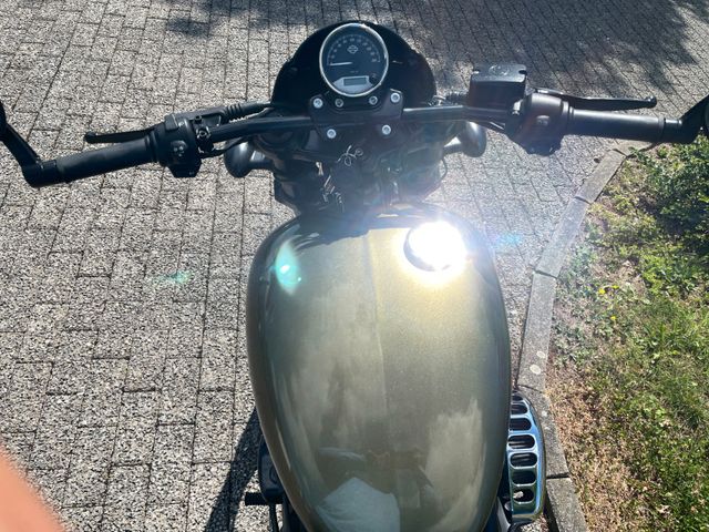 Harley-Davidson STREET ROD 750 XG ABS Bild 14